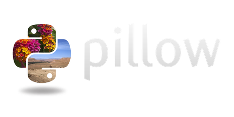 Pillow logo with text